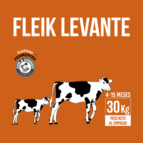 fleik-levante