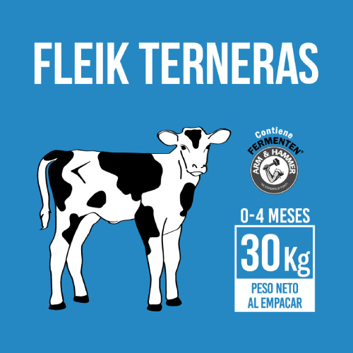 fleik-ternera