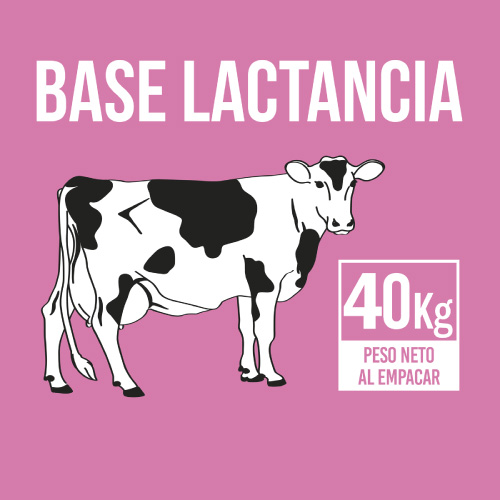 base-lactancia