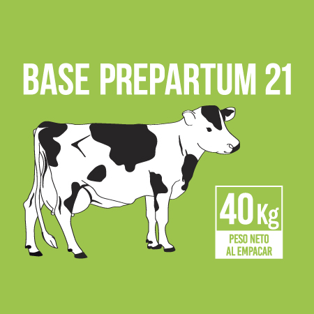 uruz-base-prepartum-21