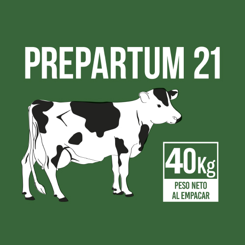 uruz-miniaturas-prepartum-21