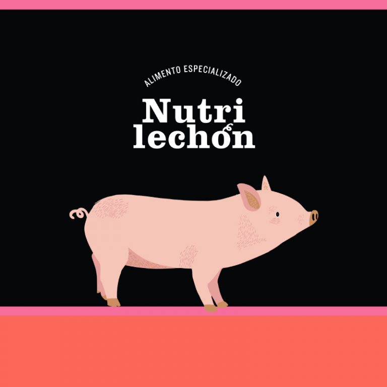 uruz-nutrilechon-fase2