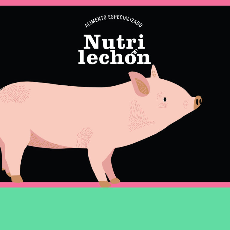 uruz-nutrilechon-fase4